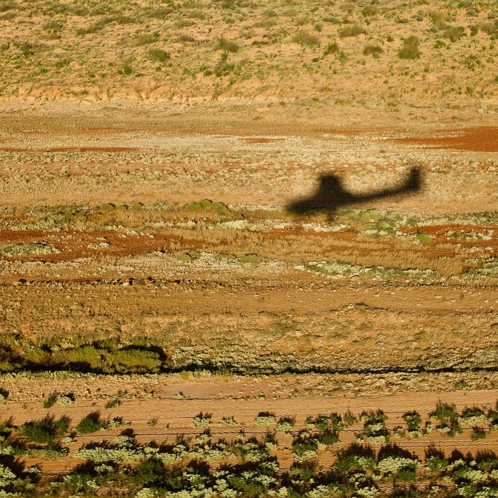 Red sand dunes of the Simpson Desert seen from the Cessna