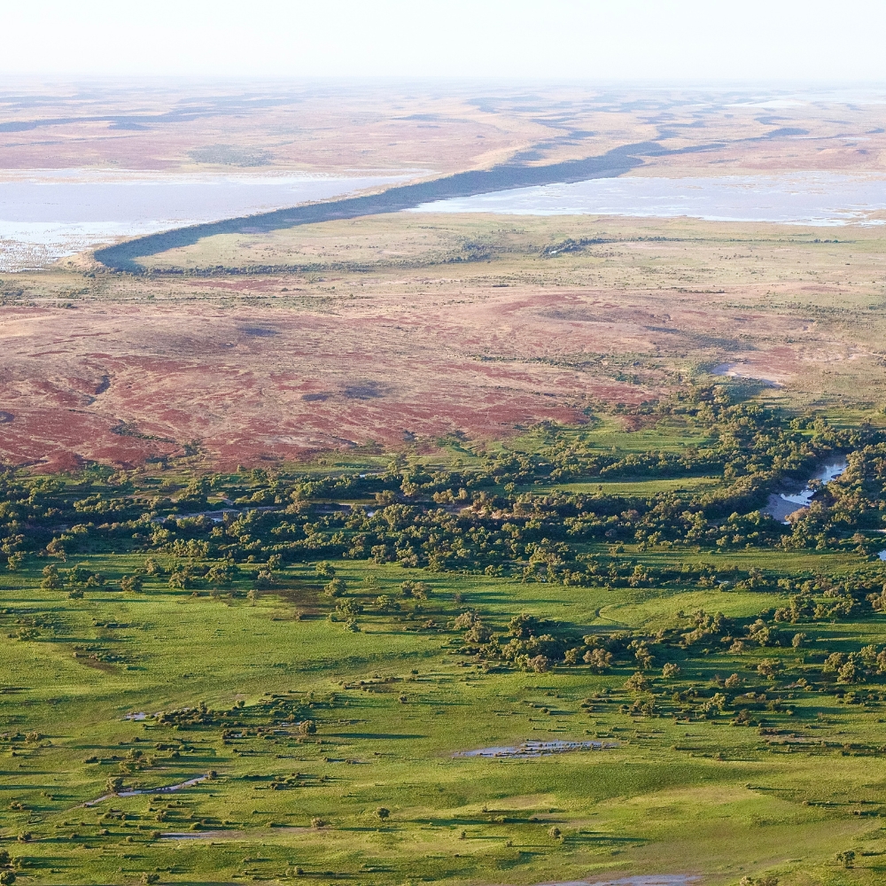 Cooper Creek winding through the Channel Country